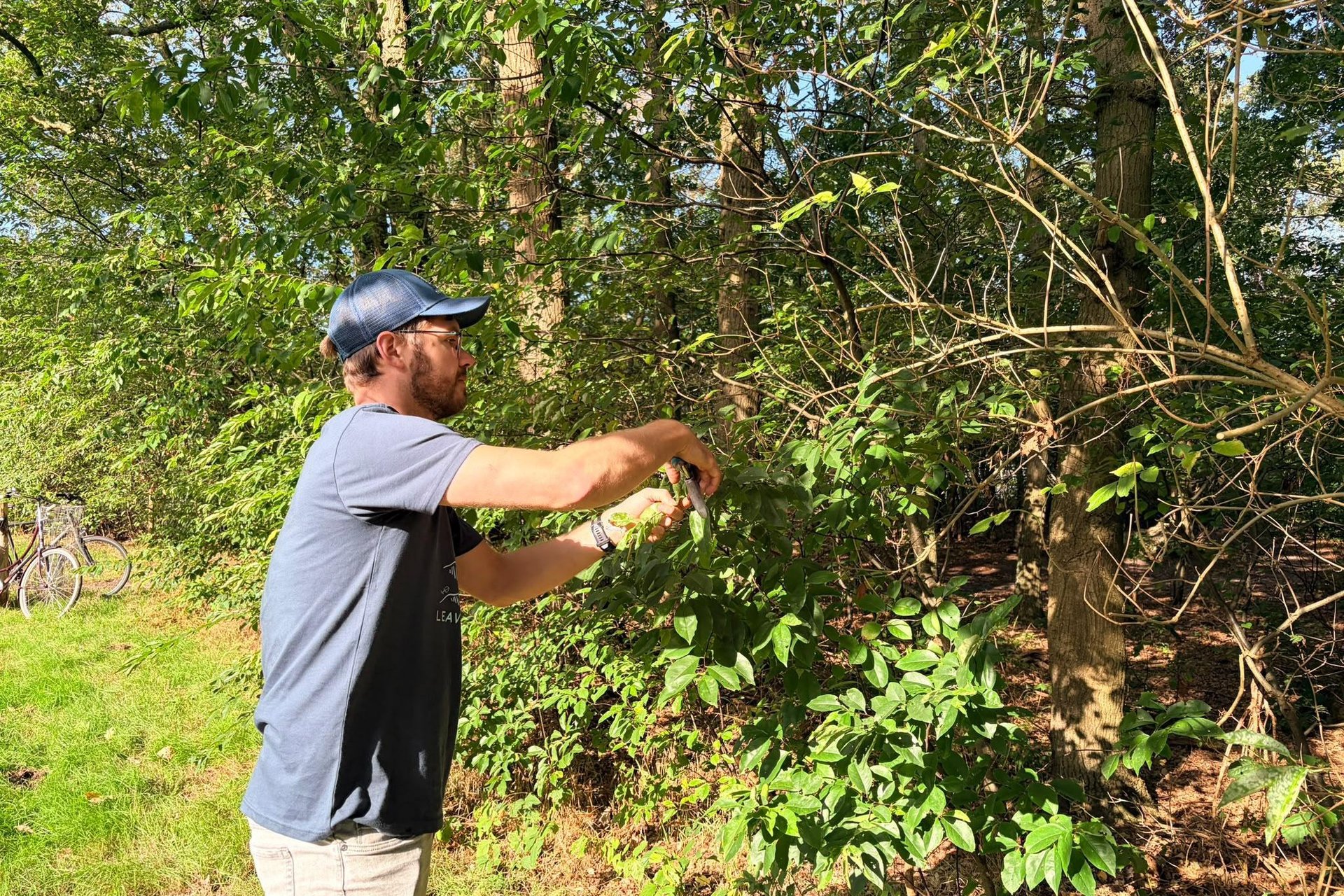 Met A Rocha Hattem aan de slag op landelijke natuurwerkdag