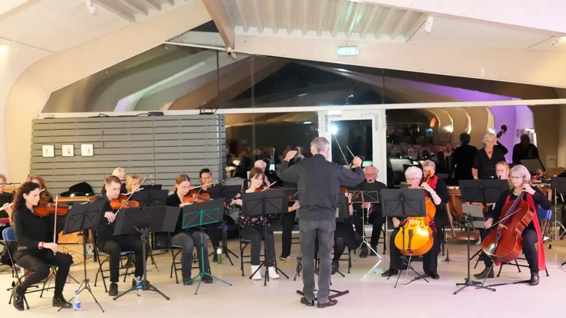 Zeewolder Symfonieorkest geeft gratis concert met filmmuziek