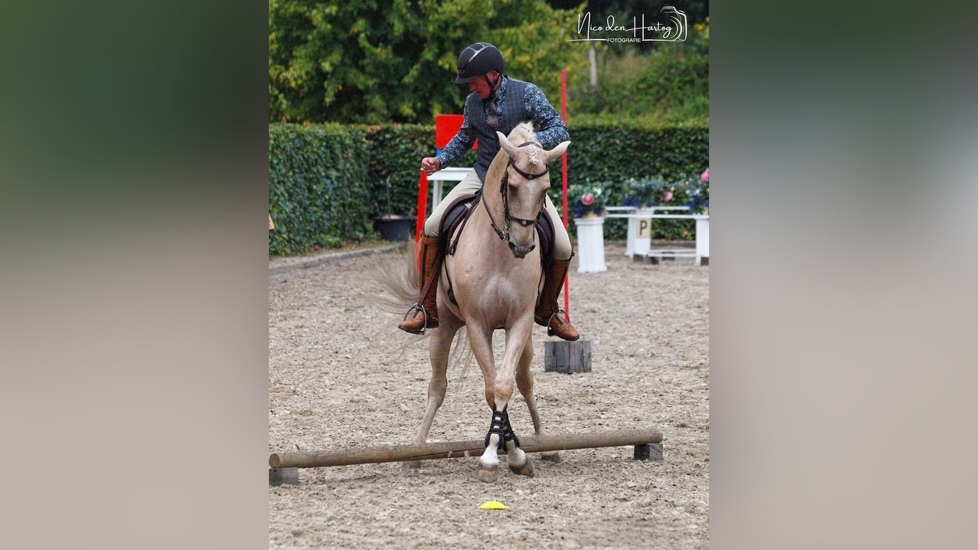 Working Equitation-wedstrijd in Huijbergen