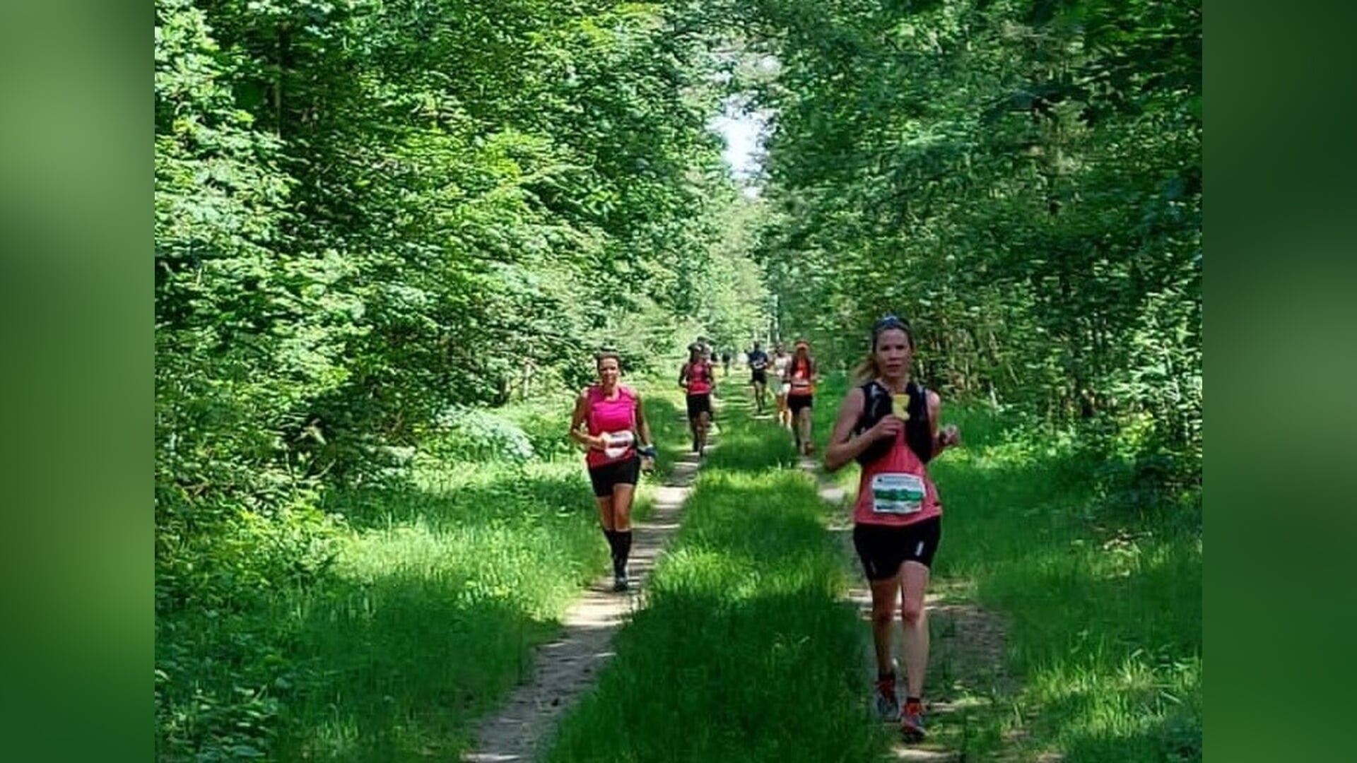 13e Brabantse Wal Marathon volzet: alle afstanden met volledig startveld