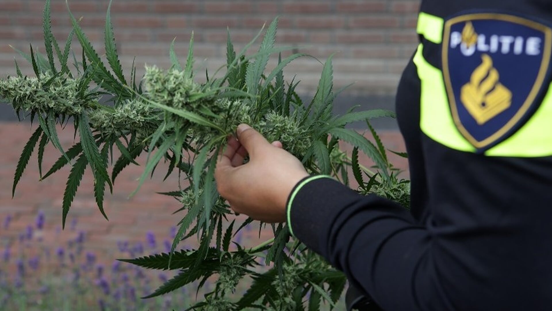 Burgemeester Mulder sluit twee panden wegens drugscriminaliteit