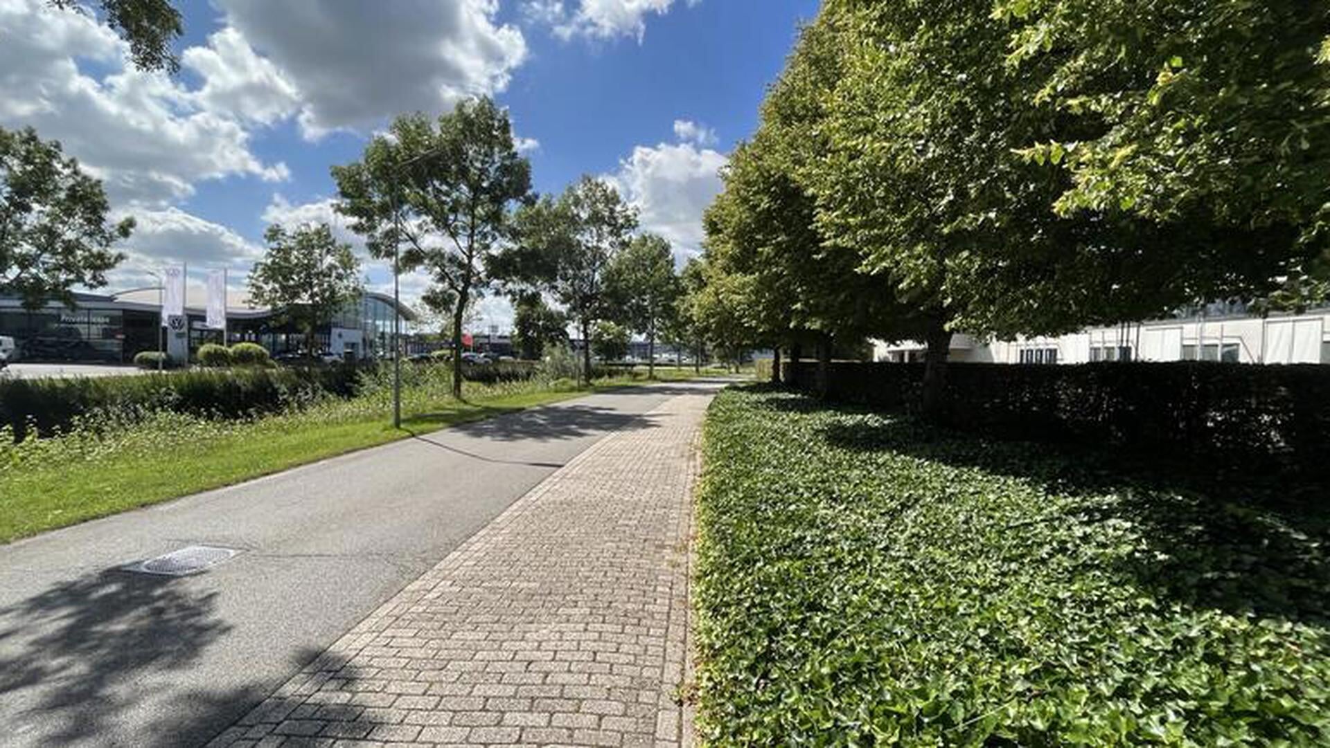 Subsidieregeling open voor vergroening van Zeeuwse bedrijfspercelen