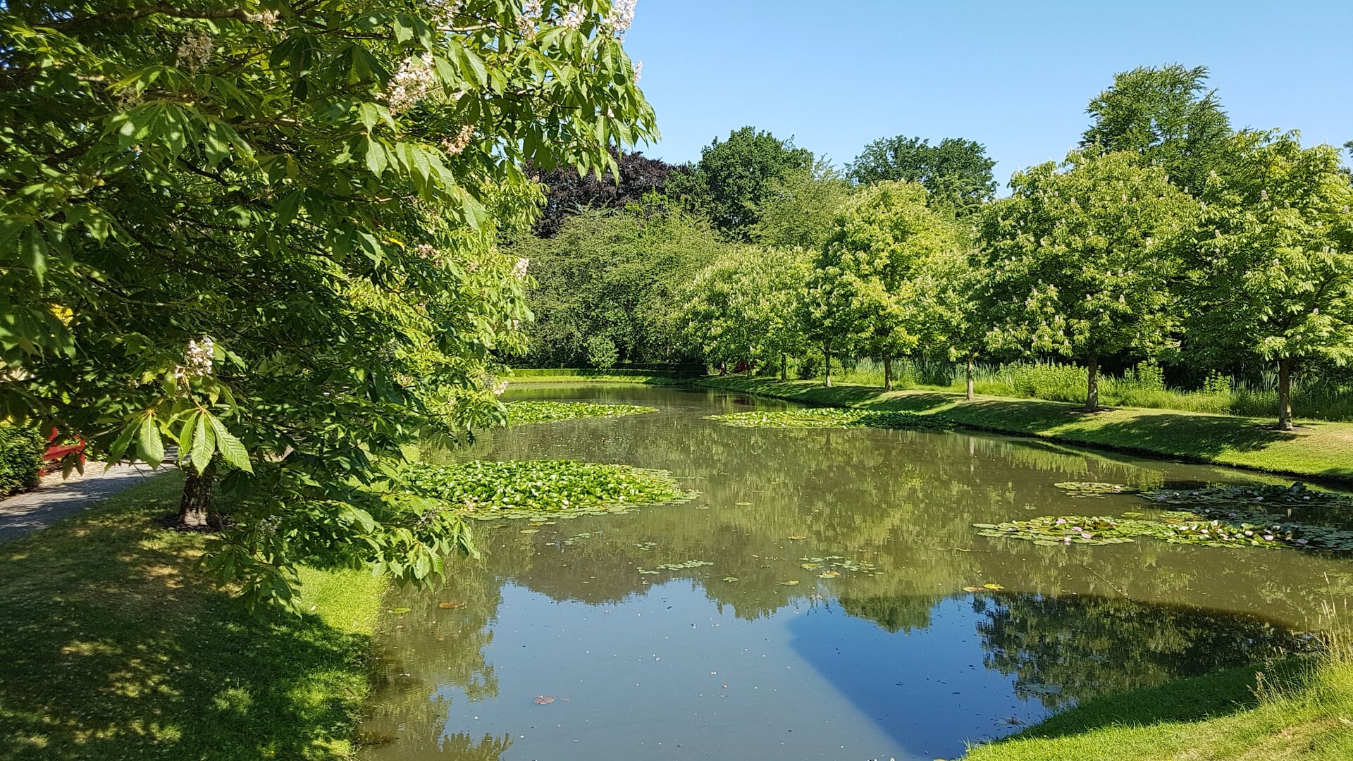 Zondagochtend yoga in de botanische tuin van Arboretum Oudenbosch