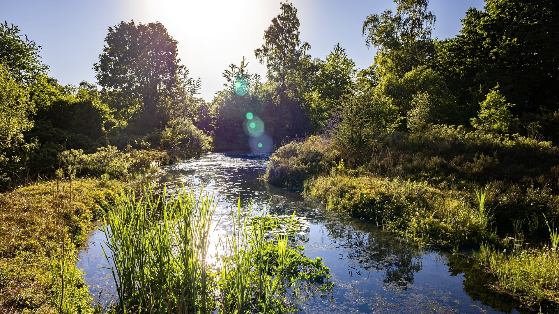 Heemtuin Rucphen doet mee aan Vlaamse Open Tuinendagen