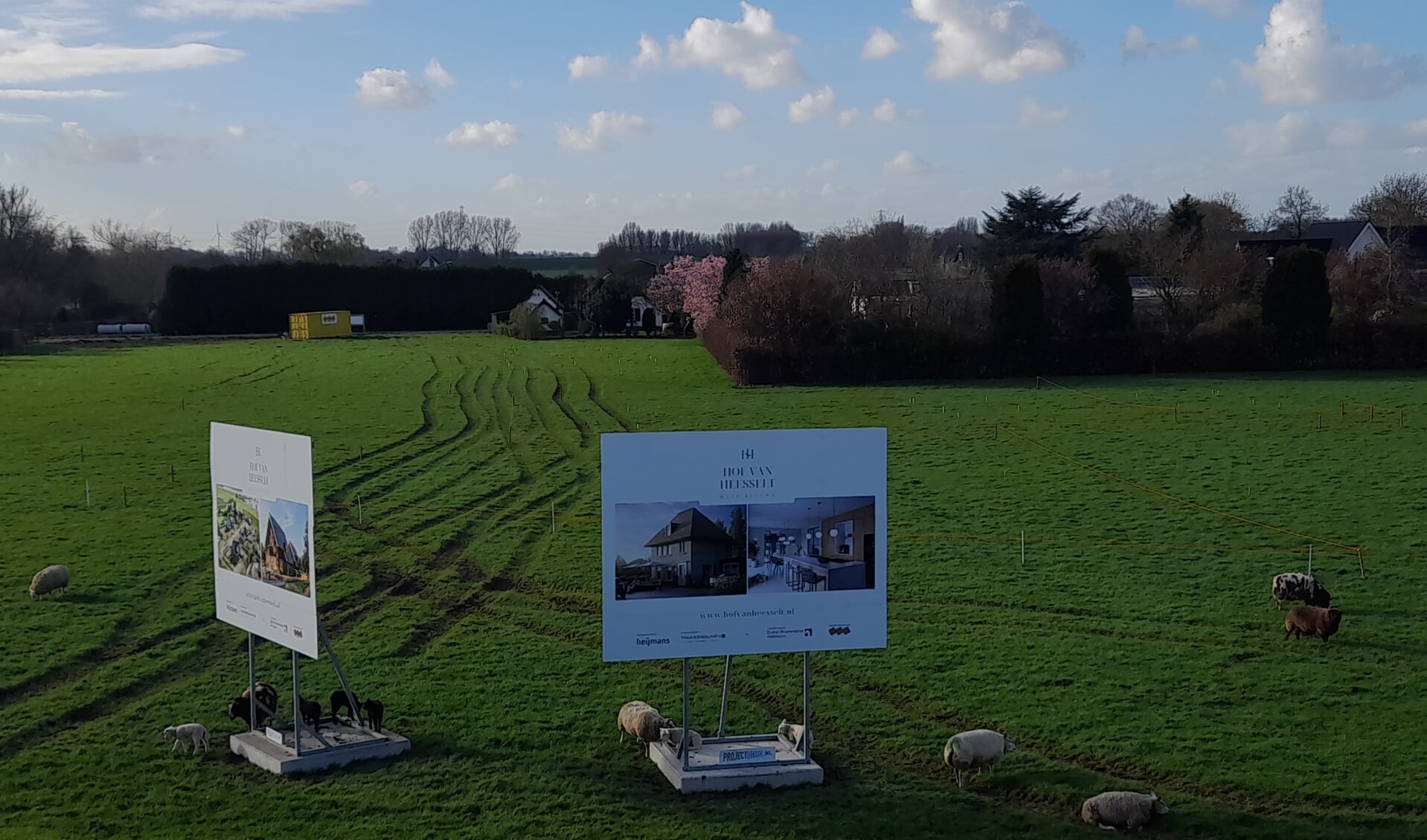 Hof van Heesselt: lammetjes of luxevilla’s?