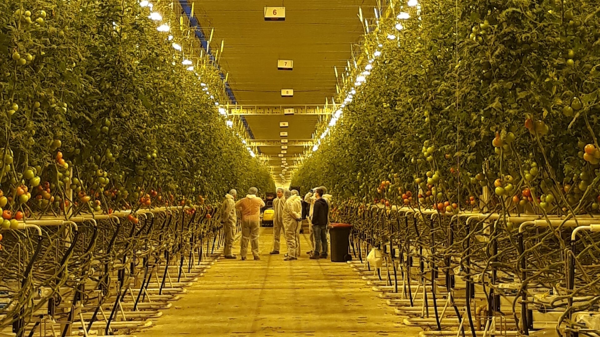 ‘Dinteloord wacht al 14 jaar tevergeefs op beloften rond Agro & Food Cluster’