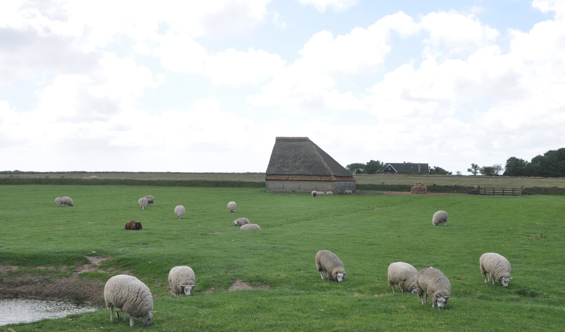 “Weging dorp versus buitengebied” - De Texelse Courant – 24/7 Nieuws ...