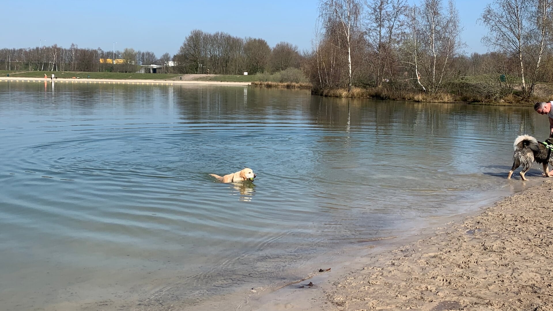 Ophef-om-aanlijnplicht-bij-de-Galderse-Meren-lijkt-storm-in-een-glas-water