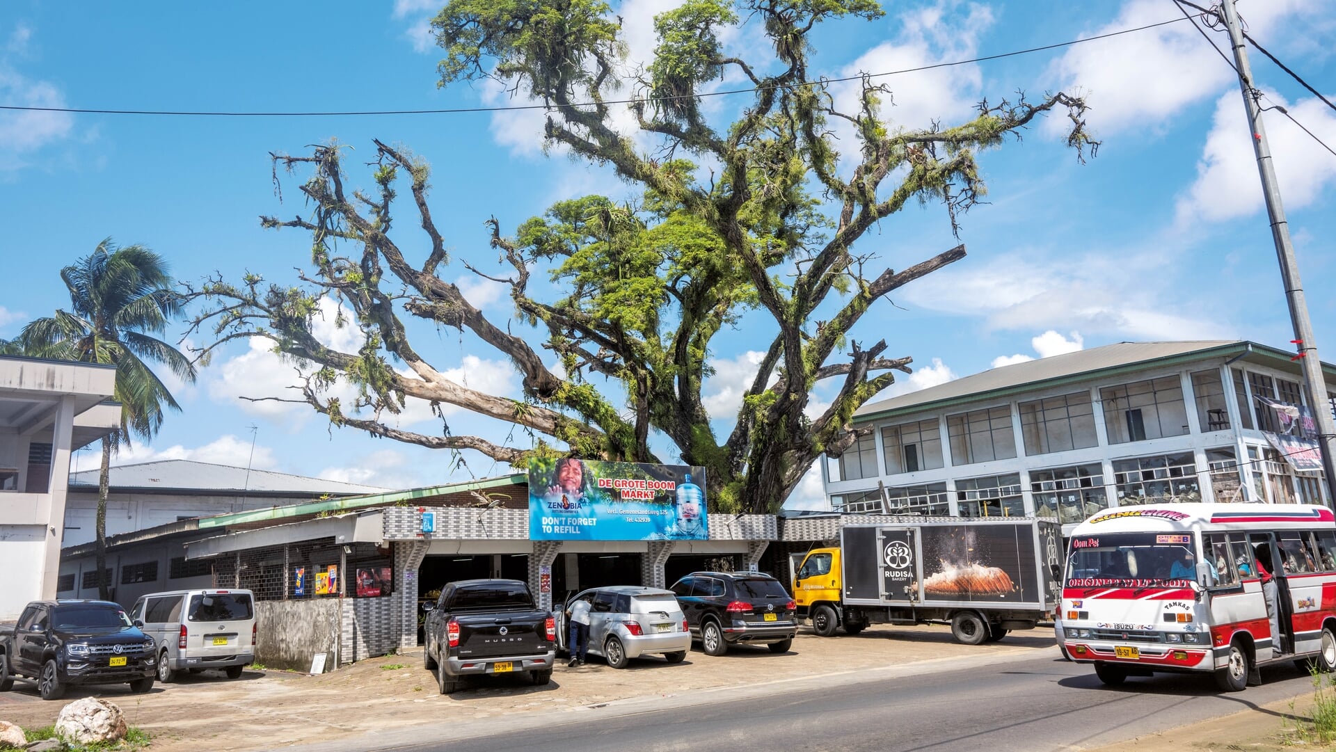 Een dominee uit Elst wilde met arme Nederlanders een paradijs maken in Suriname. Hoe is het nu?