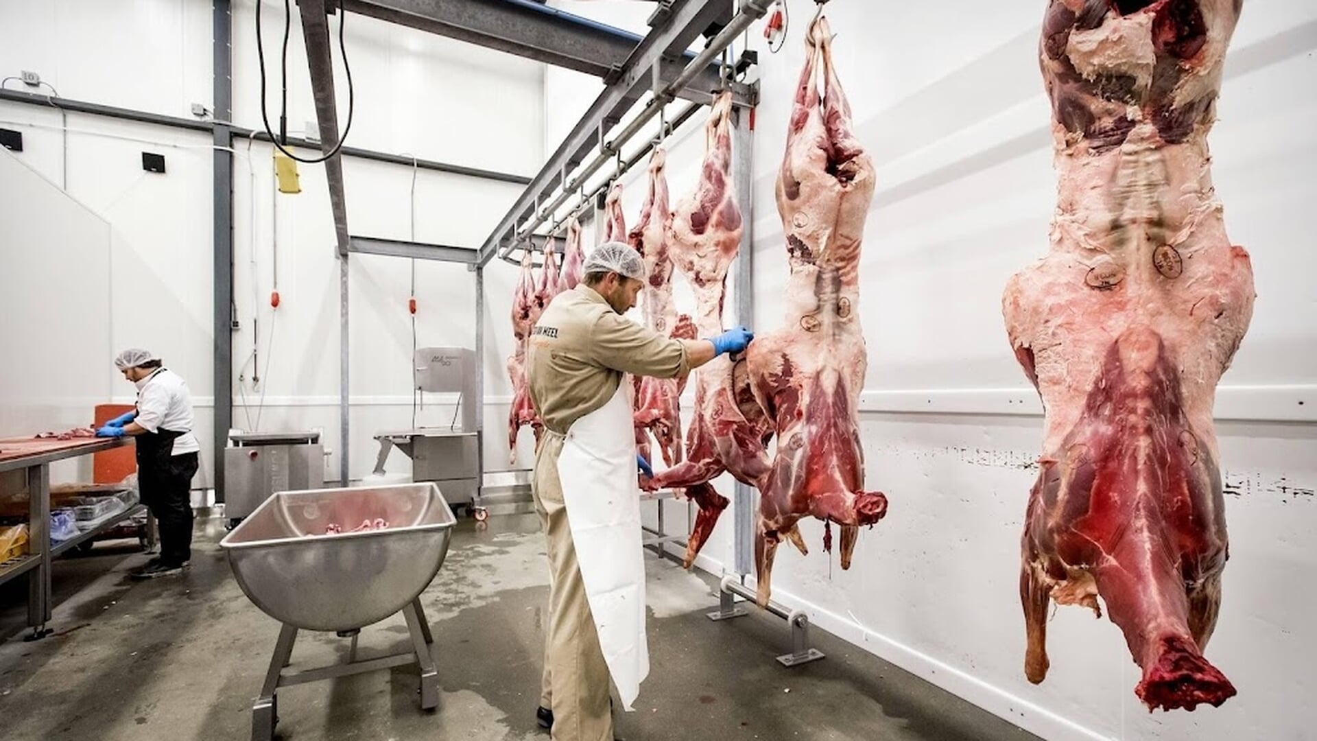 13 Roemenen uitgebuit door uitzendbureau Brabantse vleesindustrie