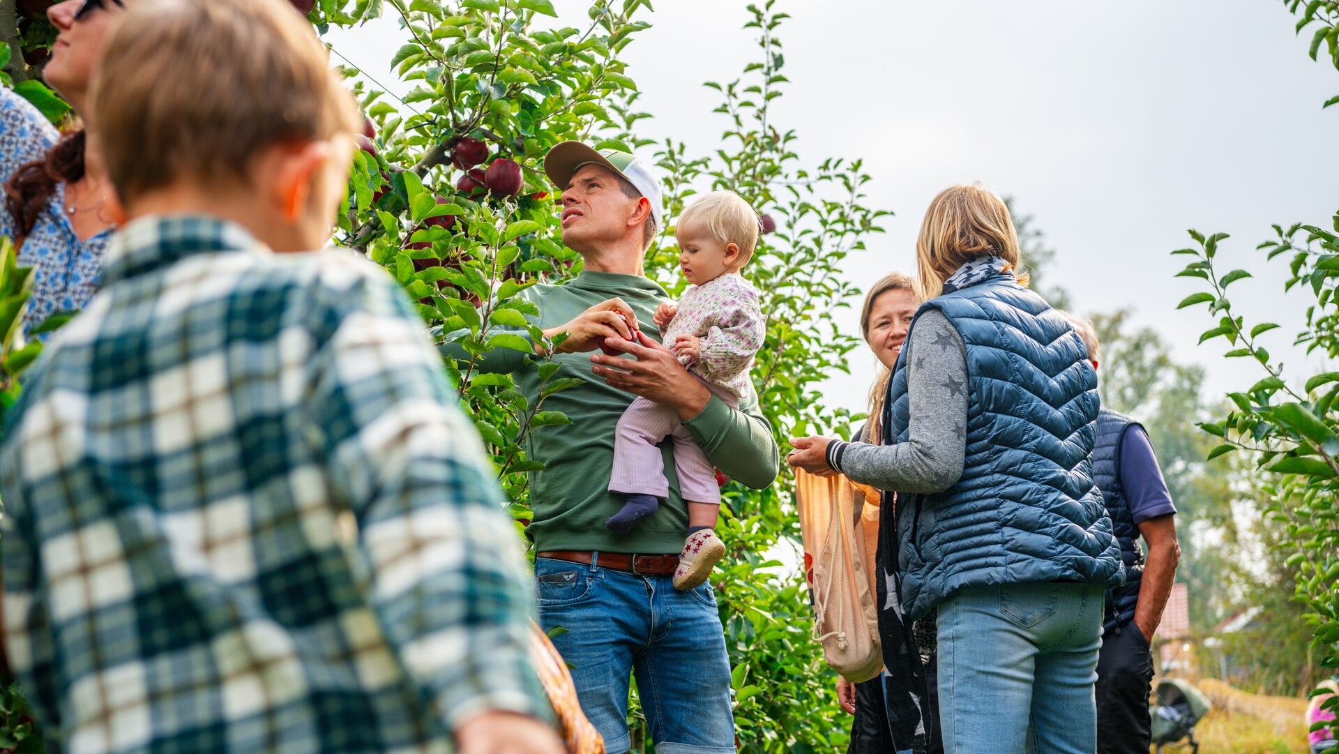 Dinteloord geniet van fruitplukdag bij Zorghoeve Kakelbont: ‘Zelfgeplukte appels zijn nog lekkerder’