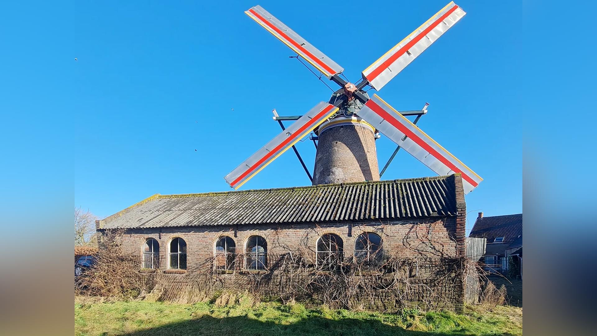 De windreus van Nispen, een unieke molen 1850-2025