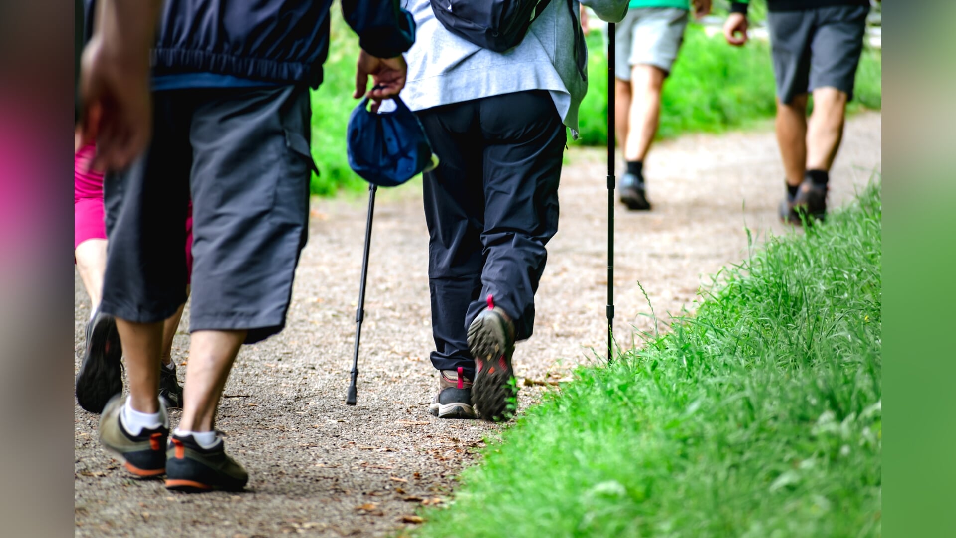 Avondvierdaagse Elburg zet flinke duurzame stappen vooruit