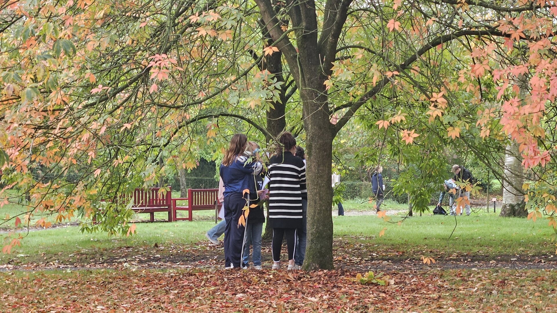 Twee broers laten tot eind oktober hun werk zien in Arboretum Oudenbosch