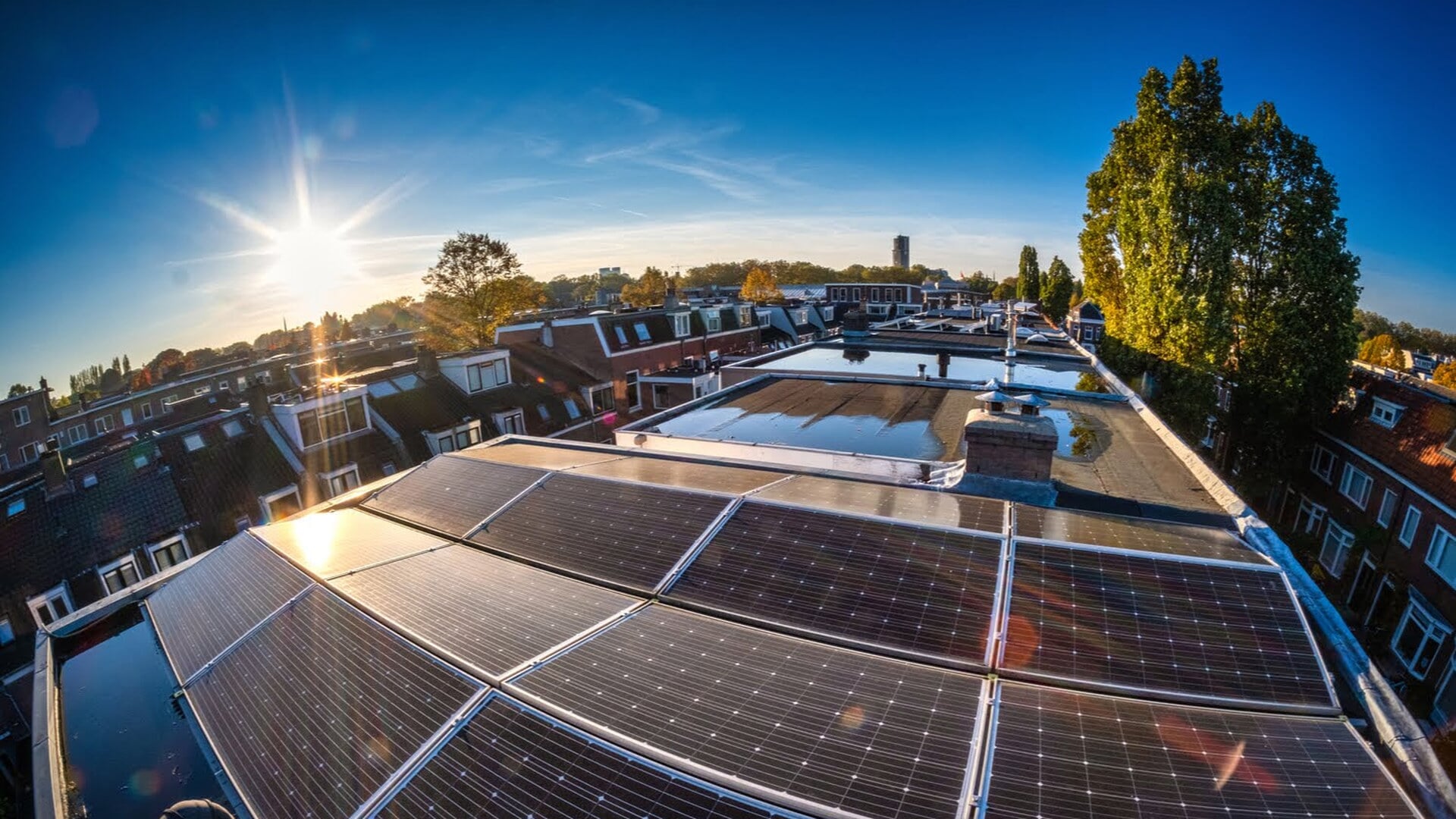 Succesvolle proef: Walcherse huishoudens verplaatsen stroomgebruik en verlagen piek