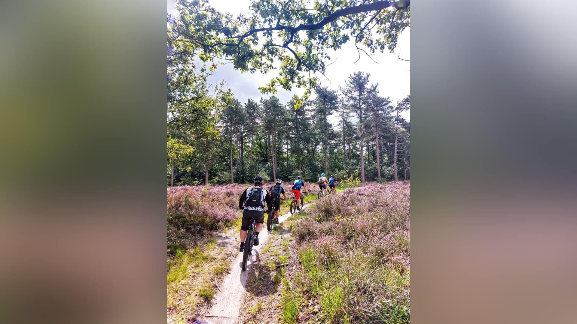 Nieuwe vrienden maken met mountainbiken