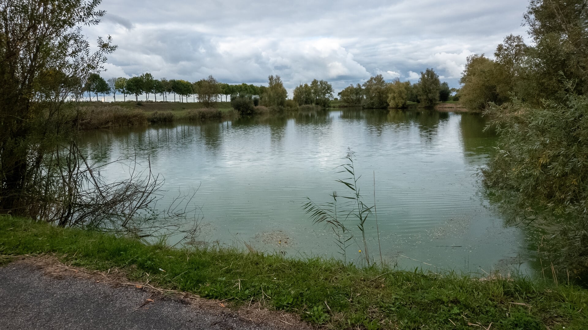 Blauwalg gevonden in vijvers Blankershove, contact met het water afgeraden
