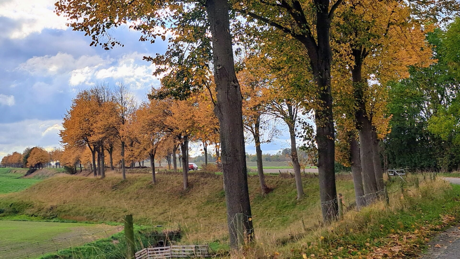 Thoolse lezersfoto van de week: ‘Herfst aan de Gorishoeksedijk’