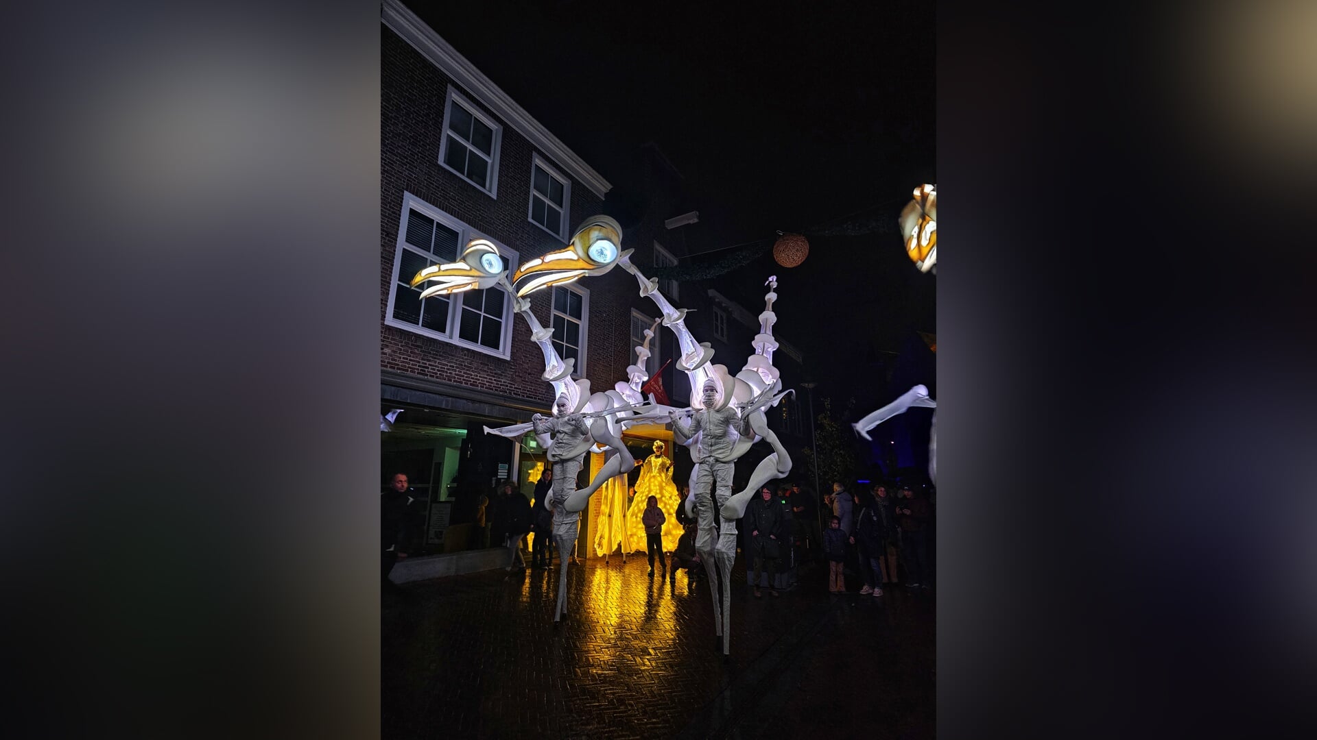 Stralen in het donker tijdens Nacht van de Nacht