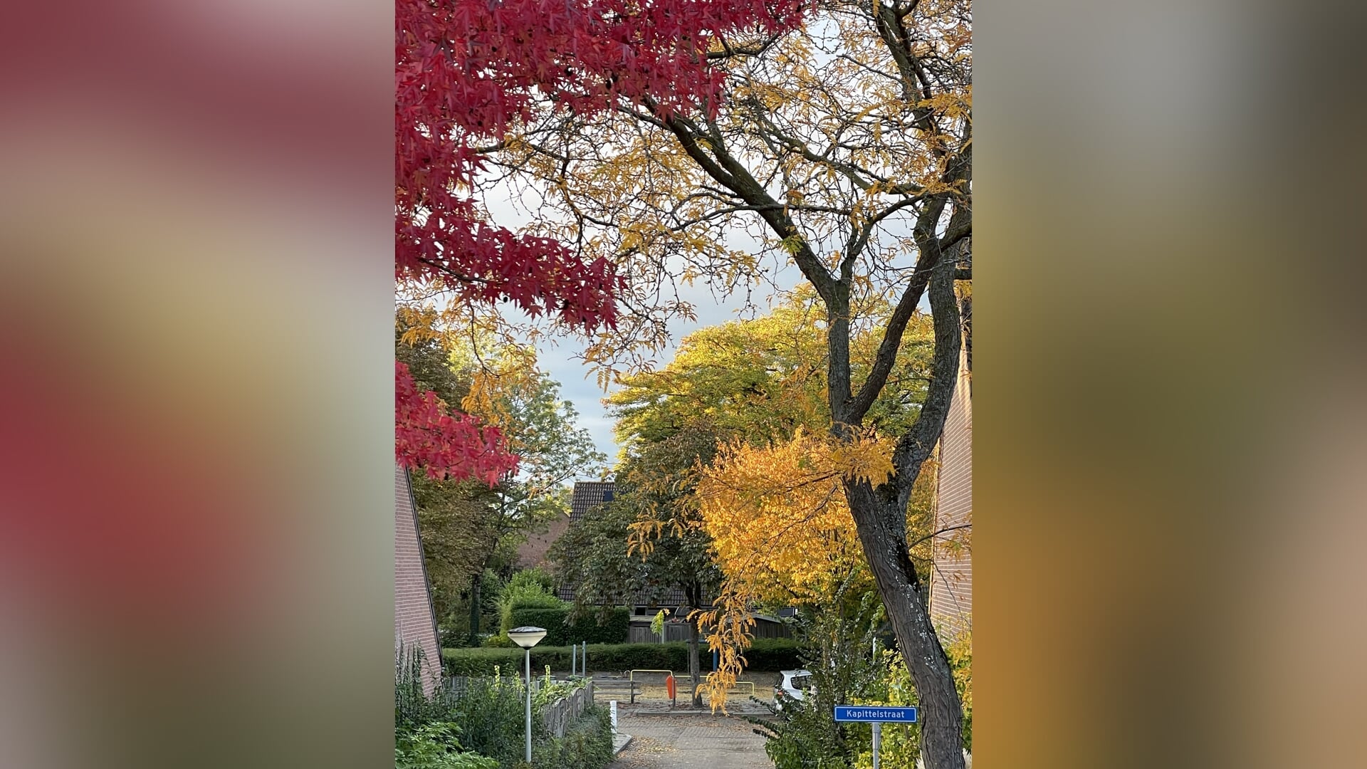 Lezersfoto van de week is gemaakt door Eva Zom