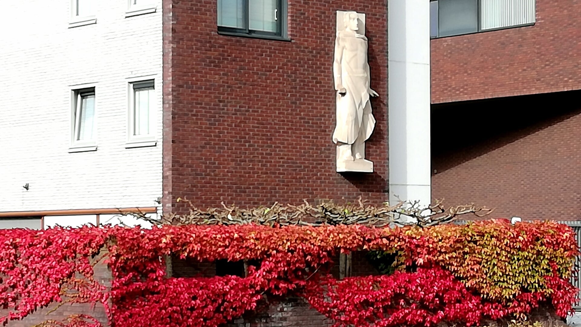 Roosendaalse lezersfoto van de week is gemaakt door mevrouw Van Ginneken