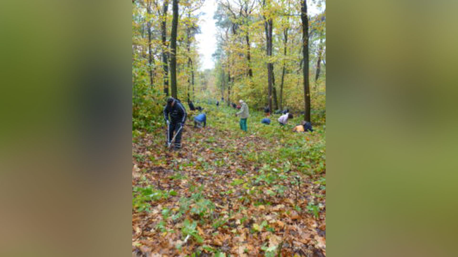 De 25e Natuurwerkdag aan de slag bij de Vinkenberg