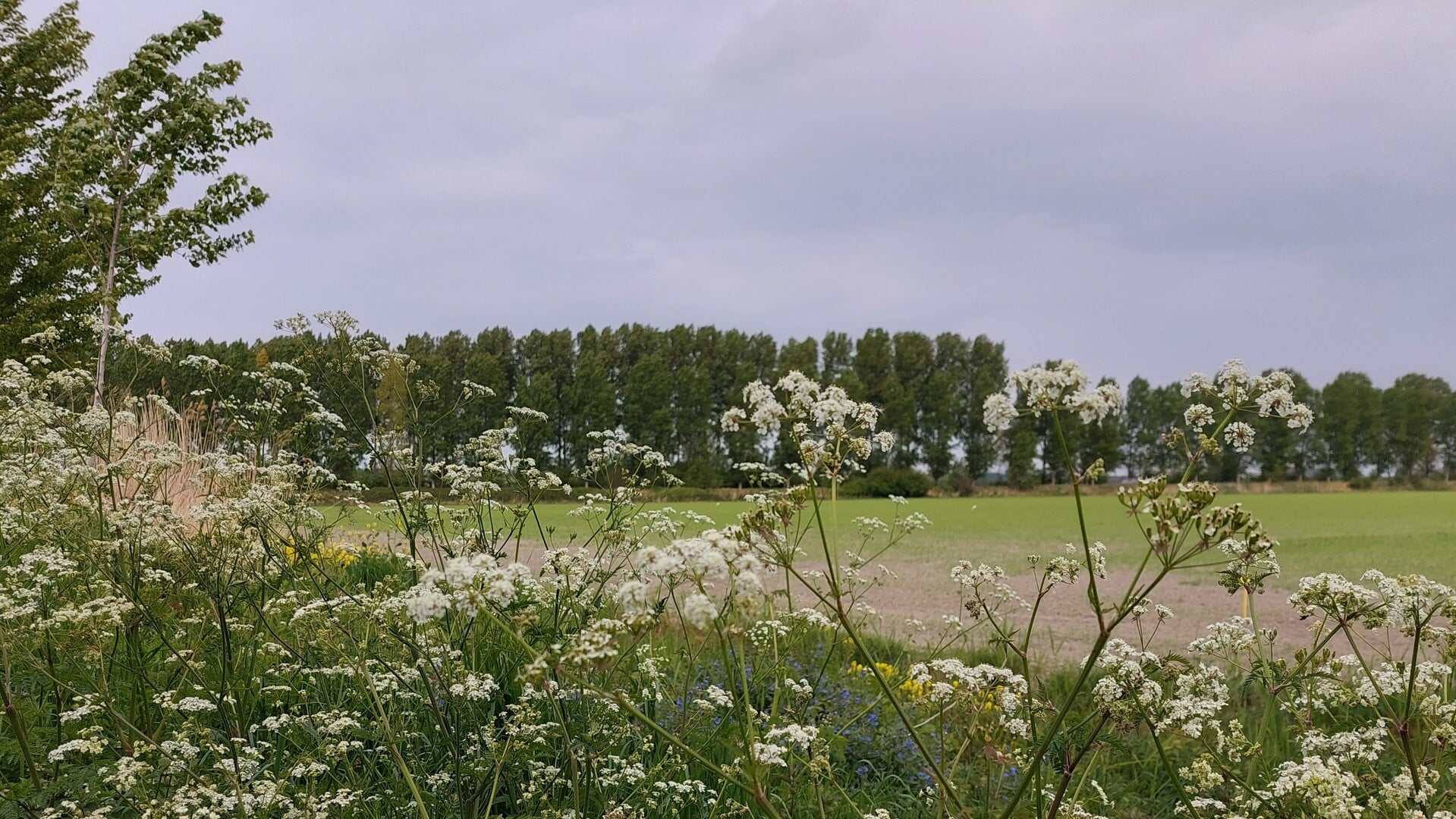 Subsidie voor leefbaarheid op Zeeuwse platteland