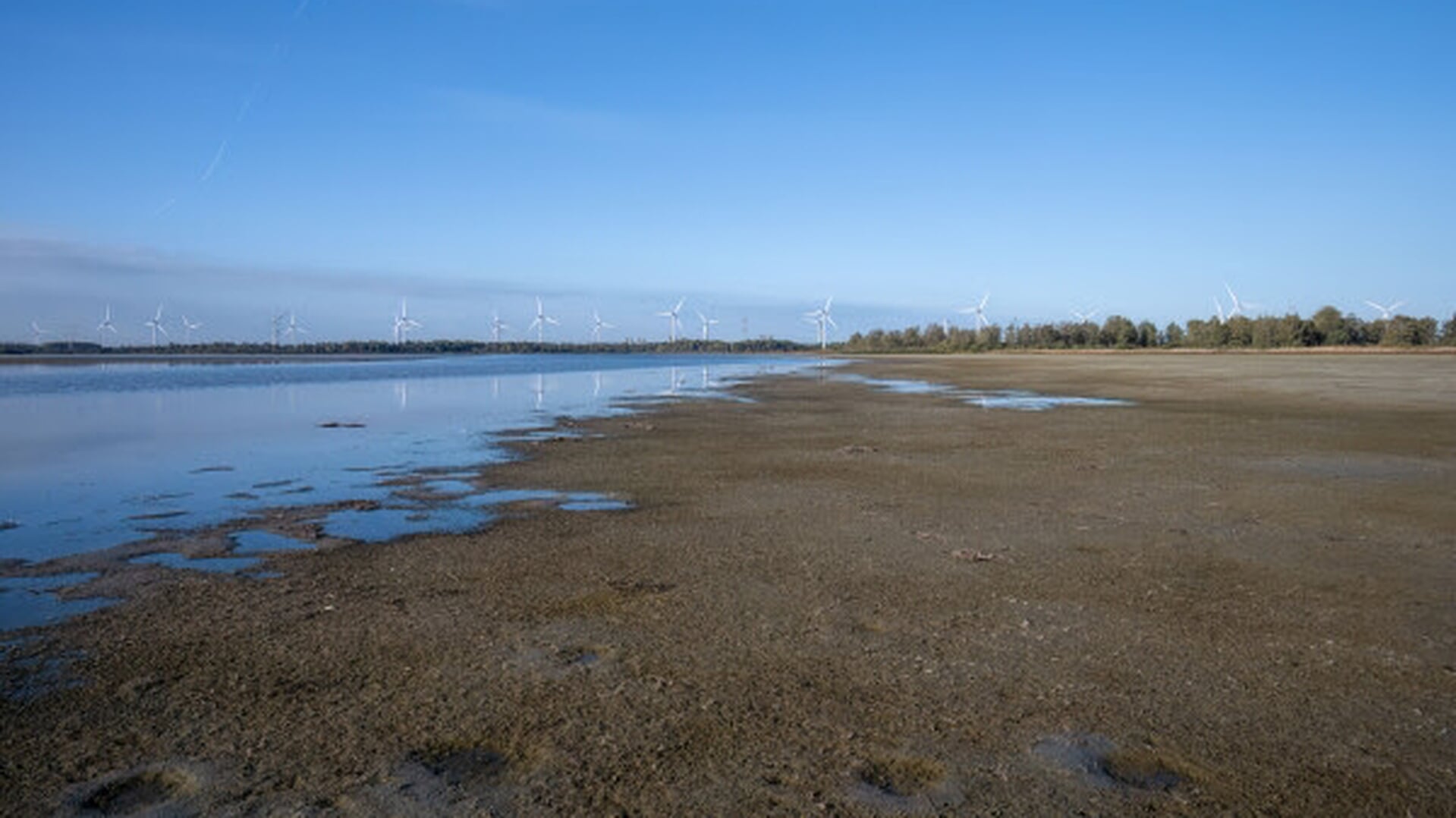 Provincie steunt Brabants Landschap: 7,7 miljoen voor nieuwe broedeilanden in Markiezaatsmeer