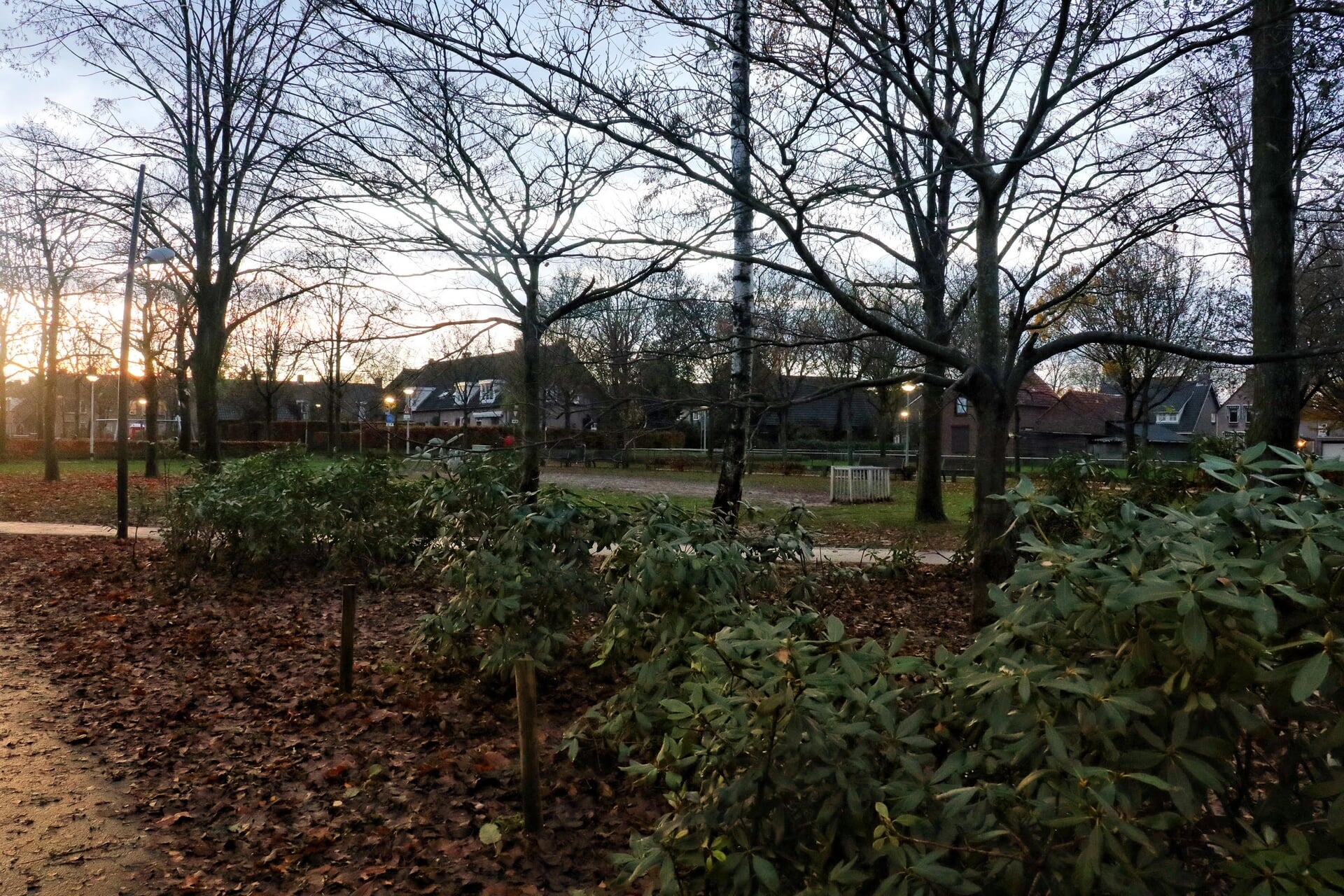 Burgemeester stelt samenscholingsverbod in voor Vogelaarpark Etten-Leur