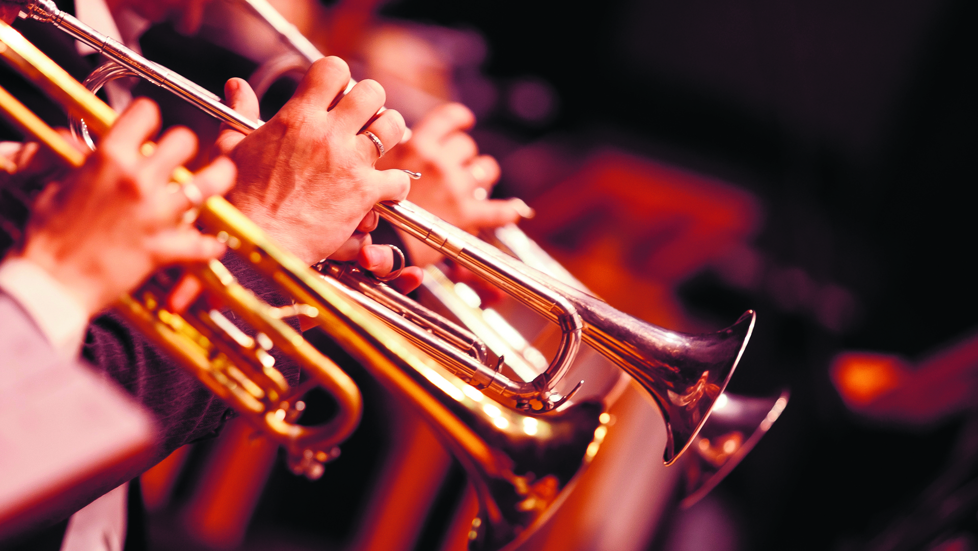 Woensdrechtse muziekverenigingen gaan van workshop naar optreden