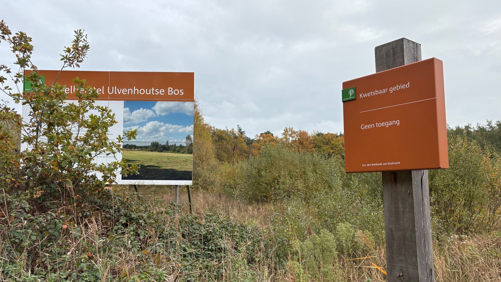 Uitgebreid maatregelenpakket voor herstel Ulvenhoutse bos: Dit ga je ervan merken