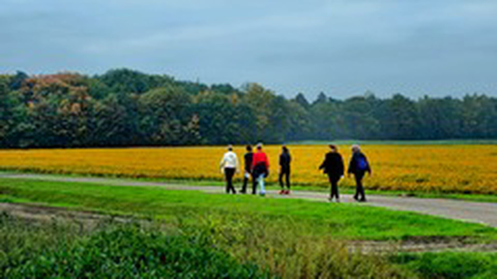 leefALSlili wandelt 2000 euro bij elkaar voor stichting ALS