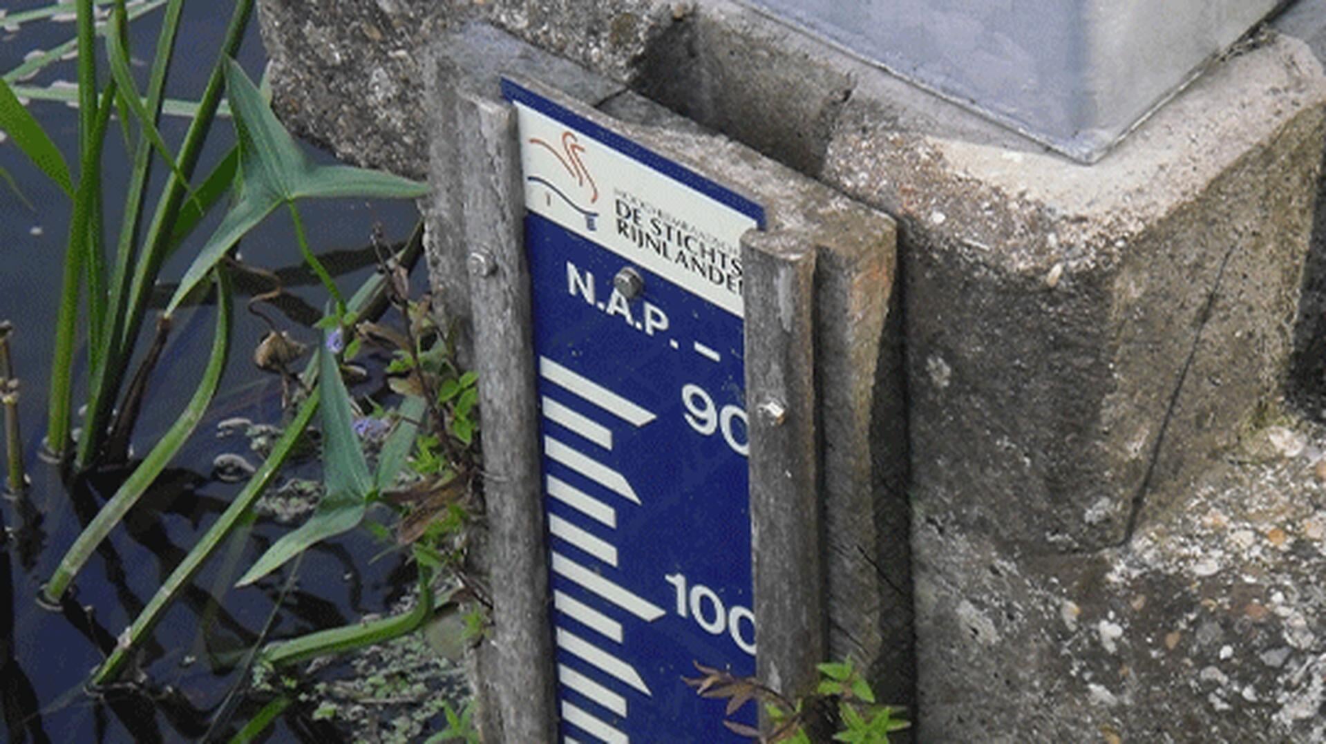 Het is droog en blijft droog: waterschap Stichtse Rijnlanden is extra alert en bereidt maatregelen v