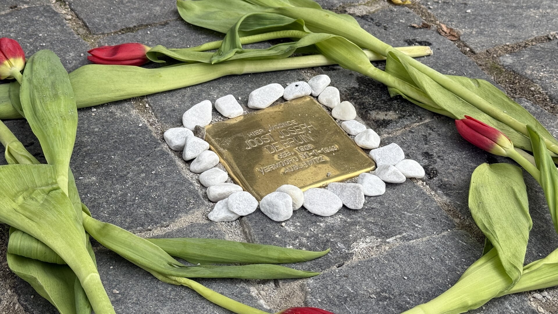 ‘Met elke steen roepen we een naam terug’: drie nieuwe Stolpersteine gelegd in Bergen op Zoom