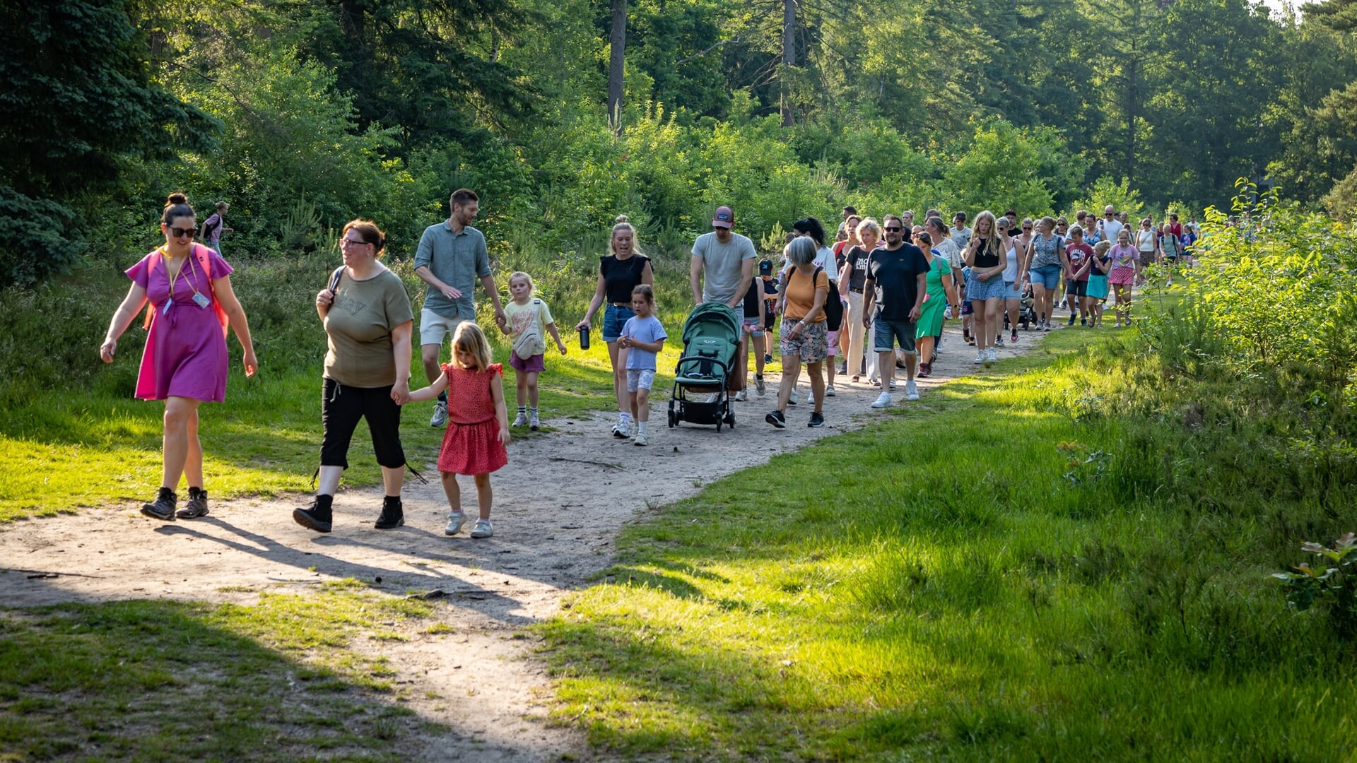 Twintigste editie Wandelvierdaagse ’t Harde groot succes