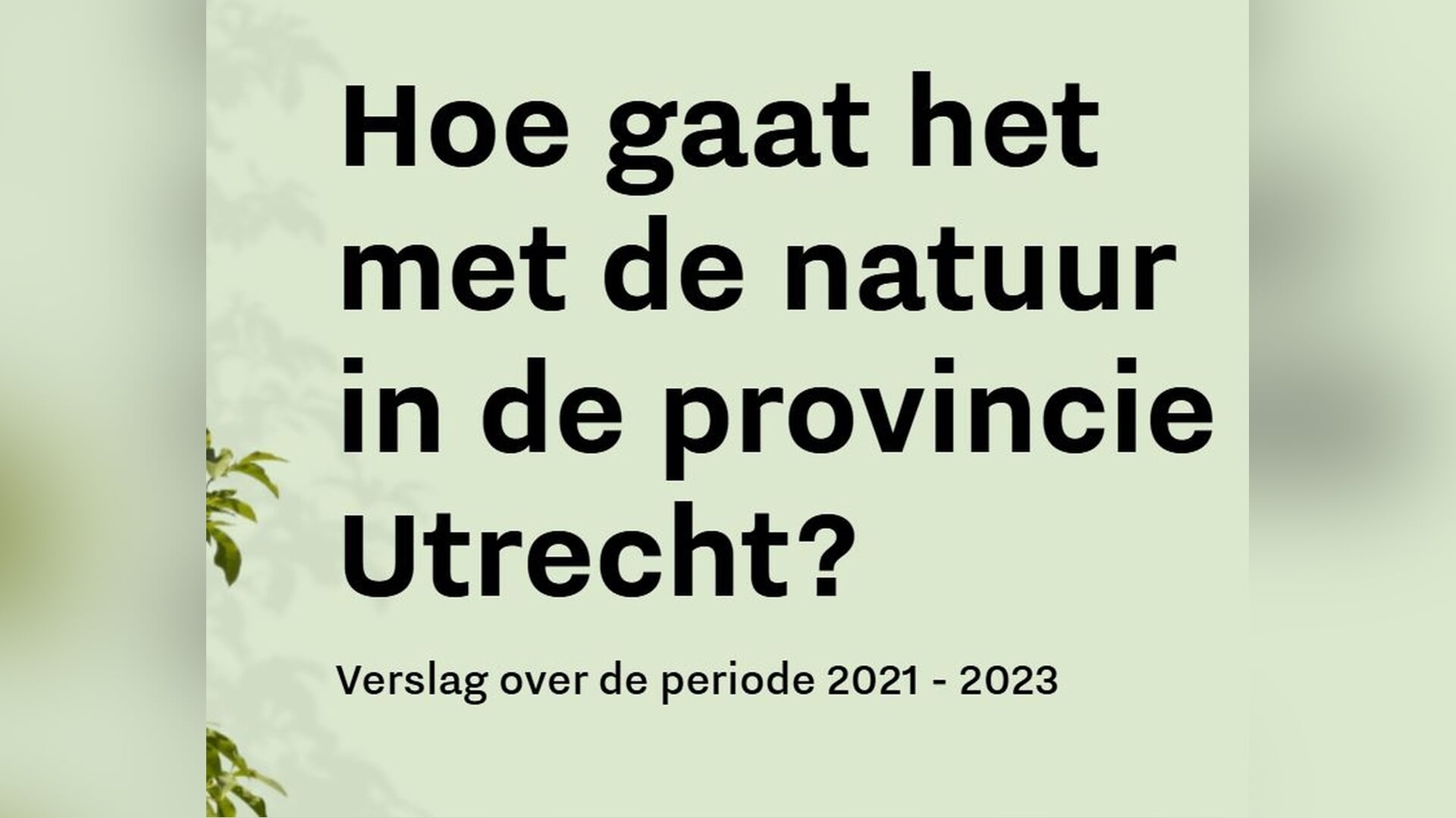 Dotterbloem en krabbenscheer verdwenen Utrechtse natuur achteruit: extra inspanningen blijven nodig