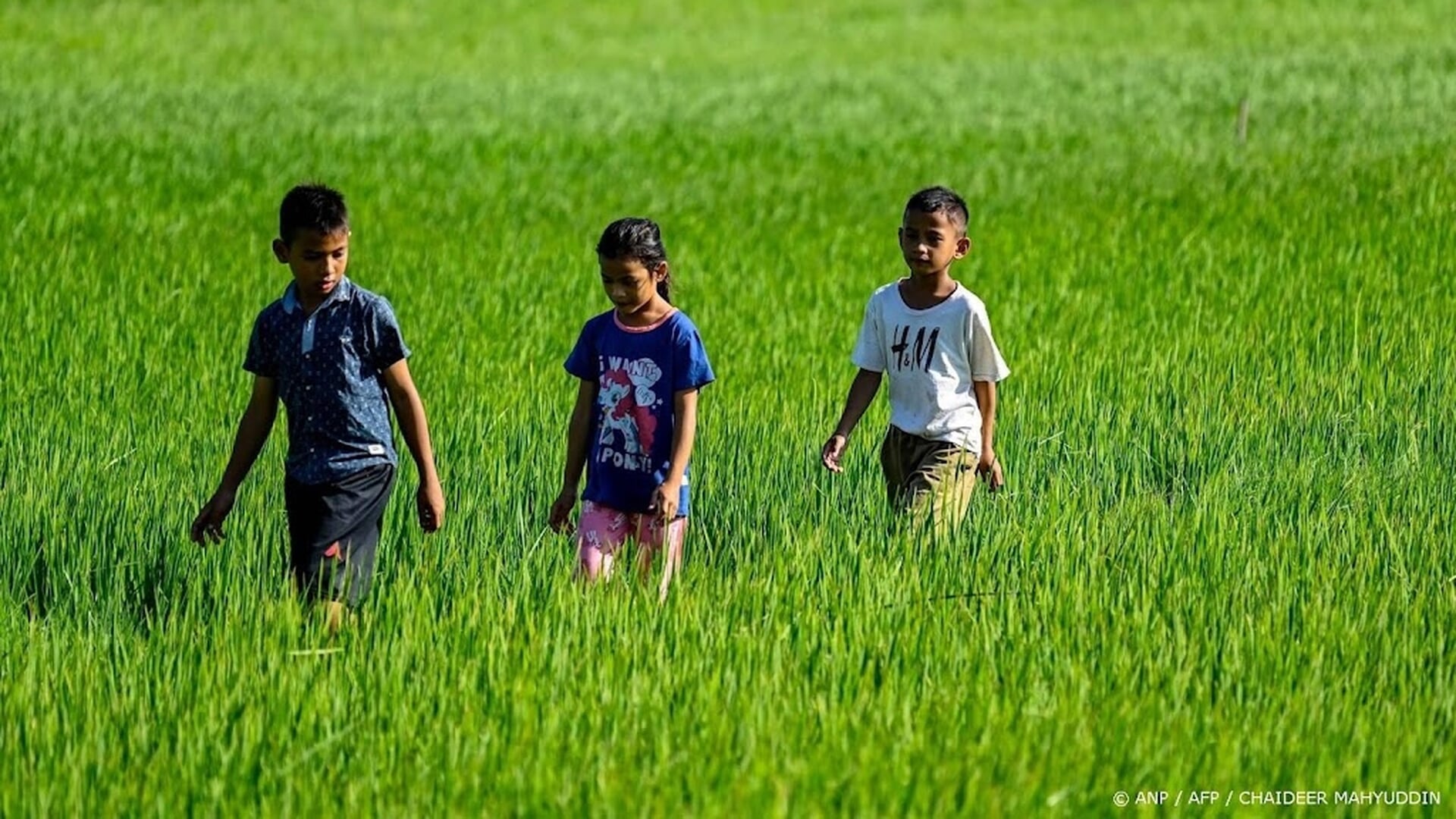 Honderden kinderen in Indonesië ziek na gratis maaltijden