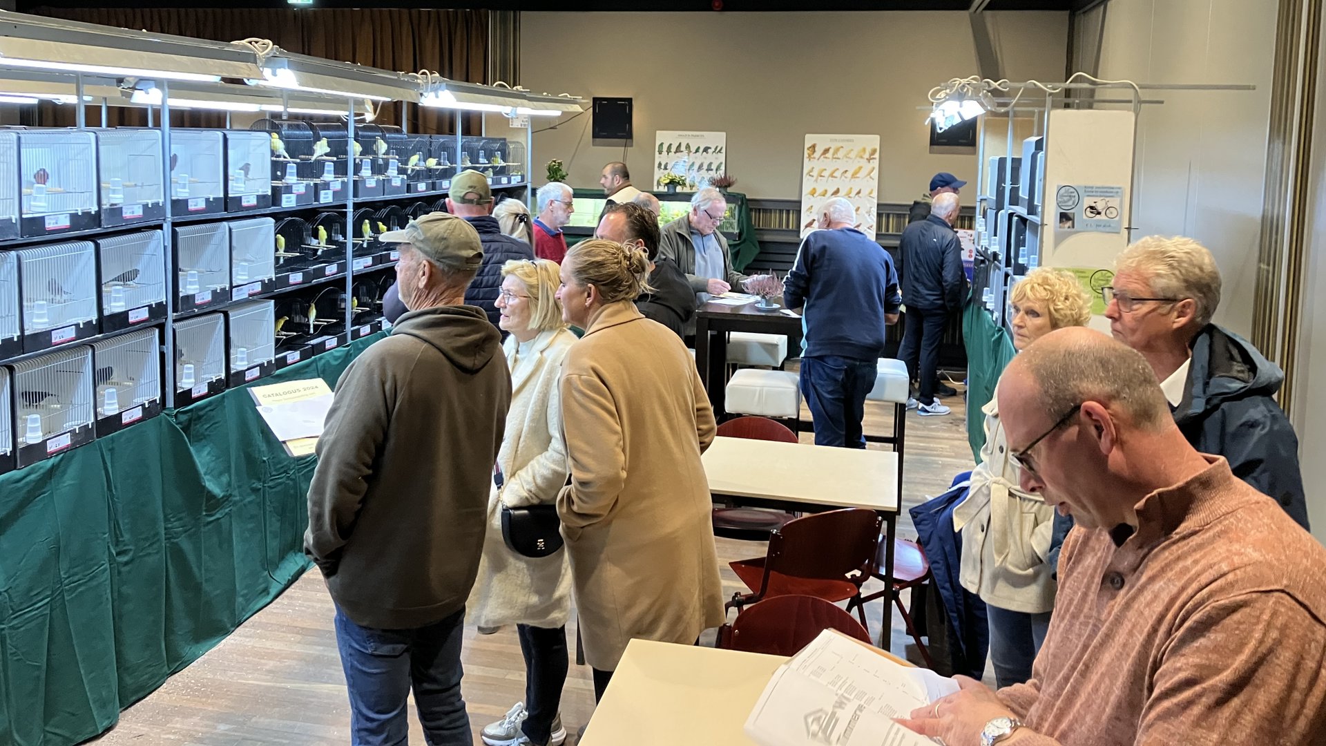 Ontdek ruim 200 prachtige vogels in Montfoort!