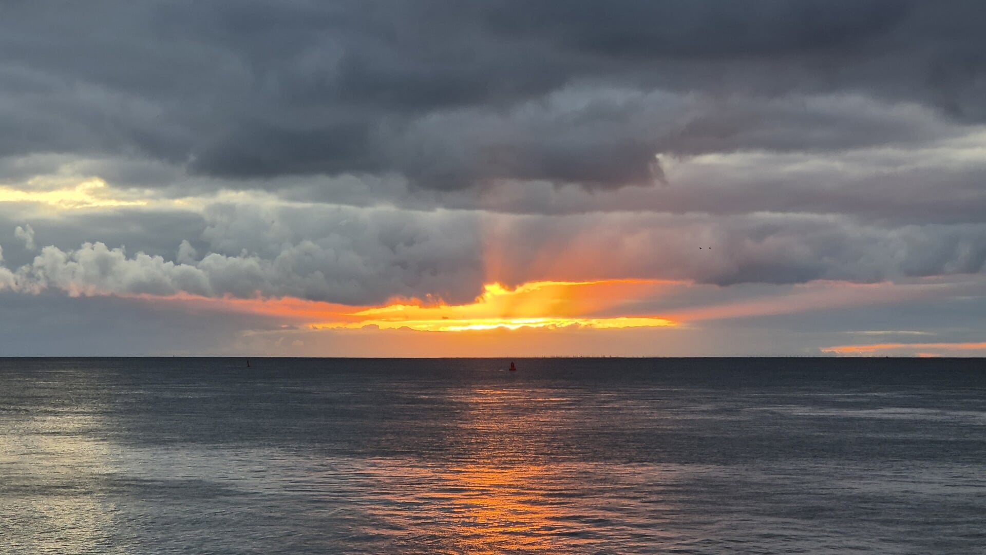 Inloopavond nieuwe beheerplannen Natura 2000 Texel