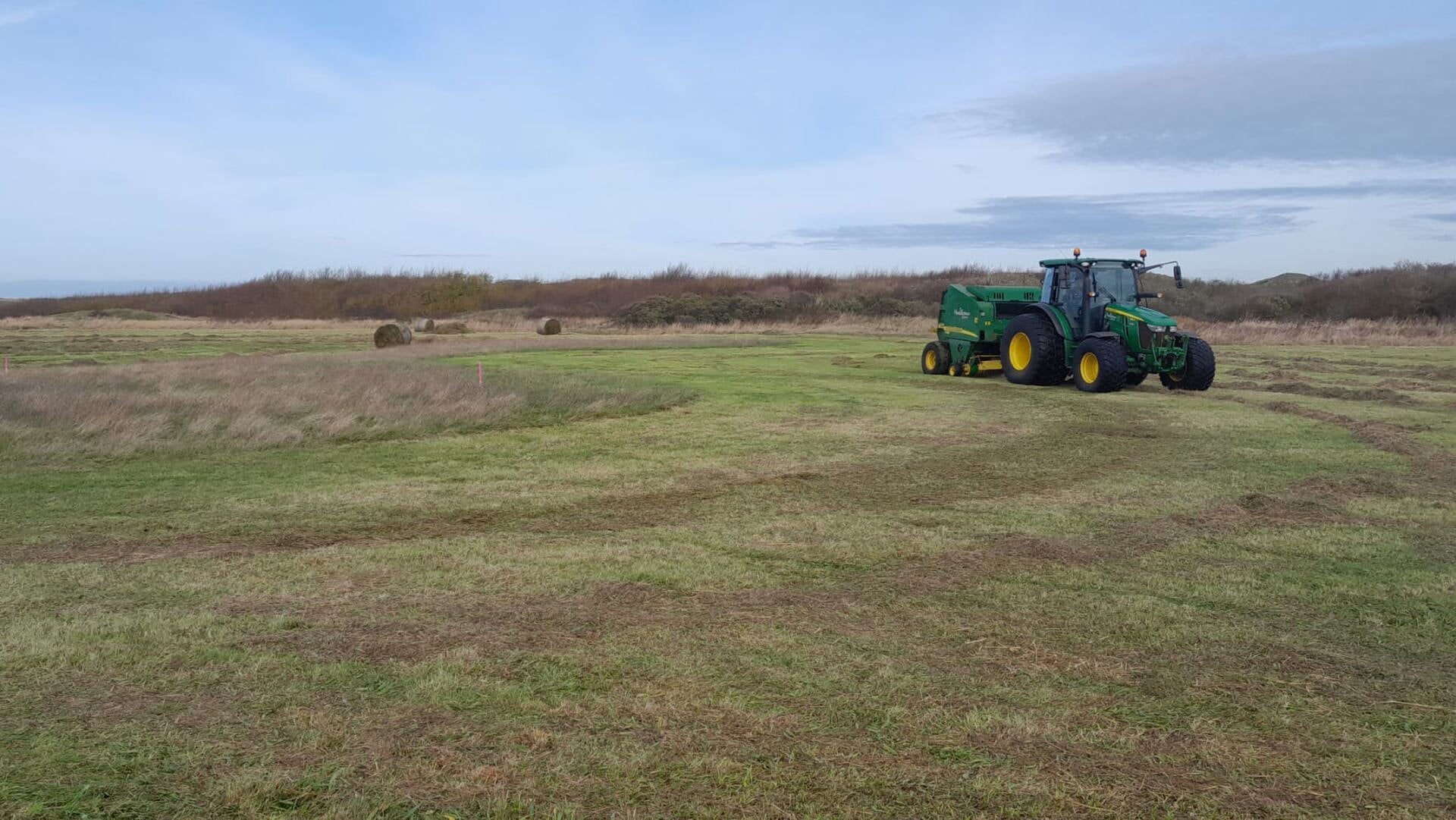 Natuurherstel op vroegere landbouwgrond duinen