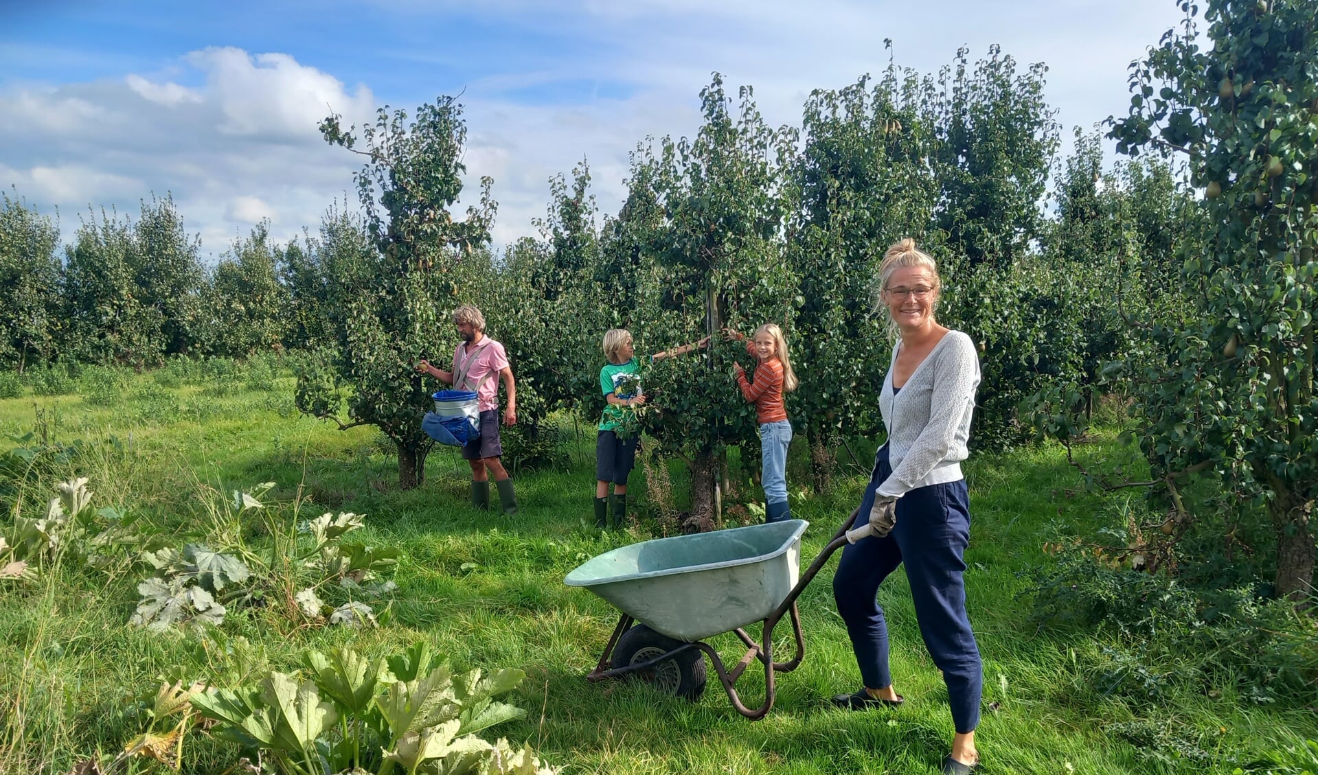 Voedselbos in Tienhoven aan de Lek: “Het zou mooi zijn om bij te dragen ...