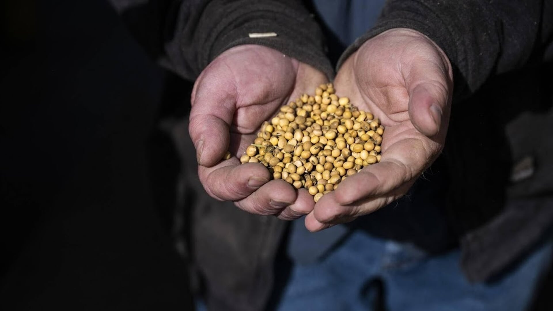 Bloomberg: China heeft weer ladingen Amerikaanse soja gekocht