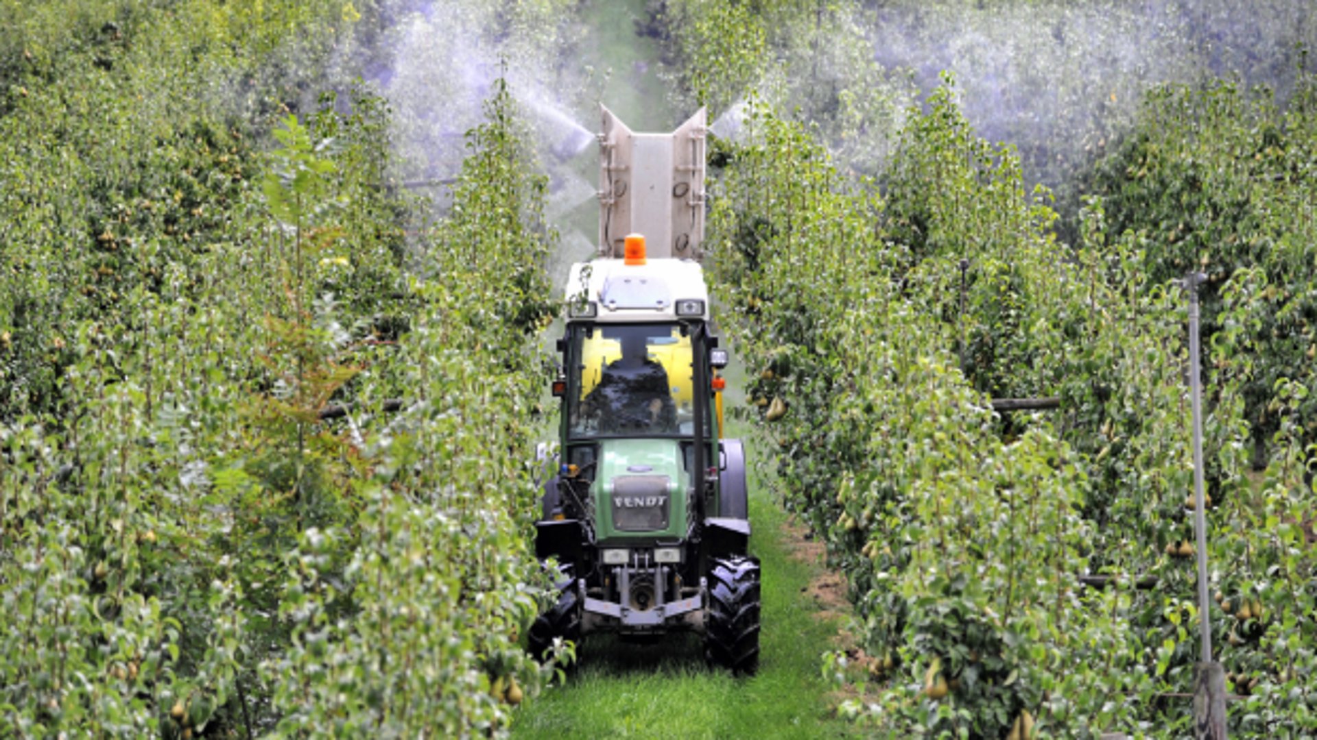 Zitten er pesticiden in huisstof? Deze bezorgde burgers uit de Betuwe doen zelf onderzoek
