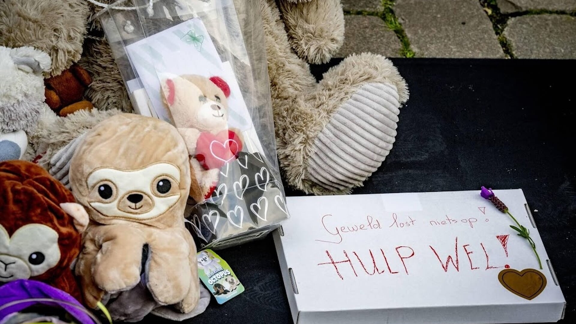 Moeder Vlaardingse pleegmeisje: een kind zegt niet zomaar dingen