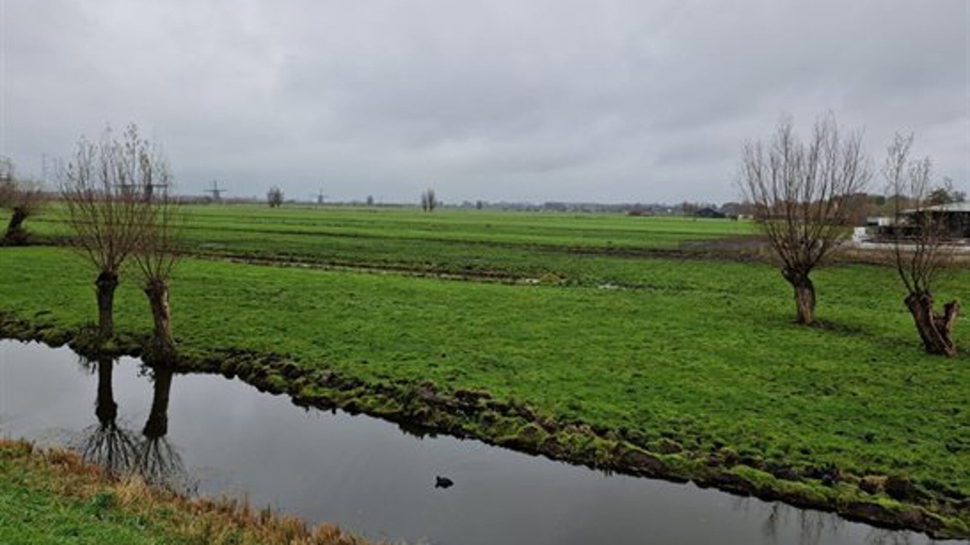 Provincie koopt in Alblasserdam meer dan twaalf hectare natuur voor ...