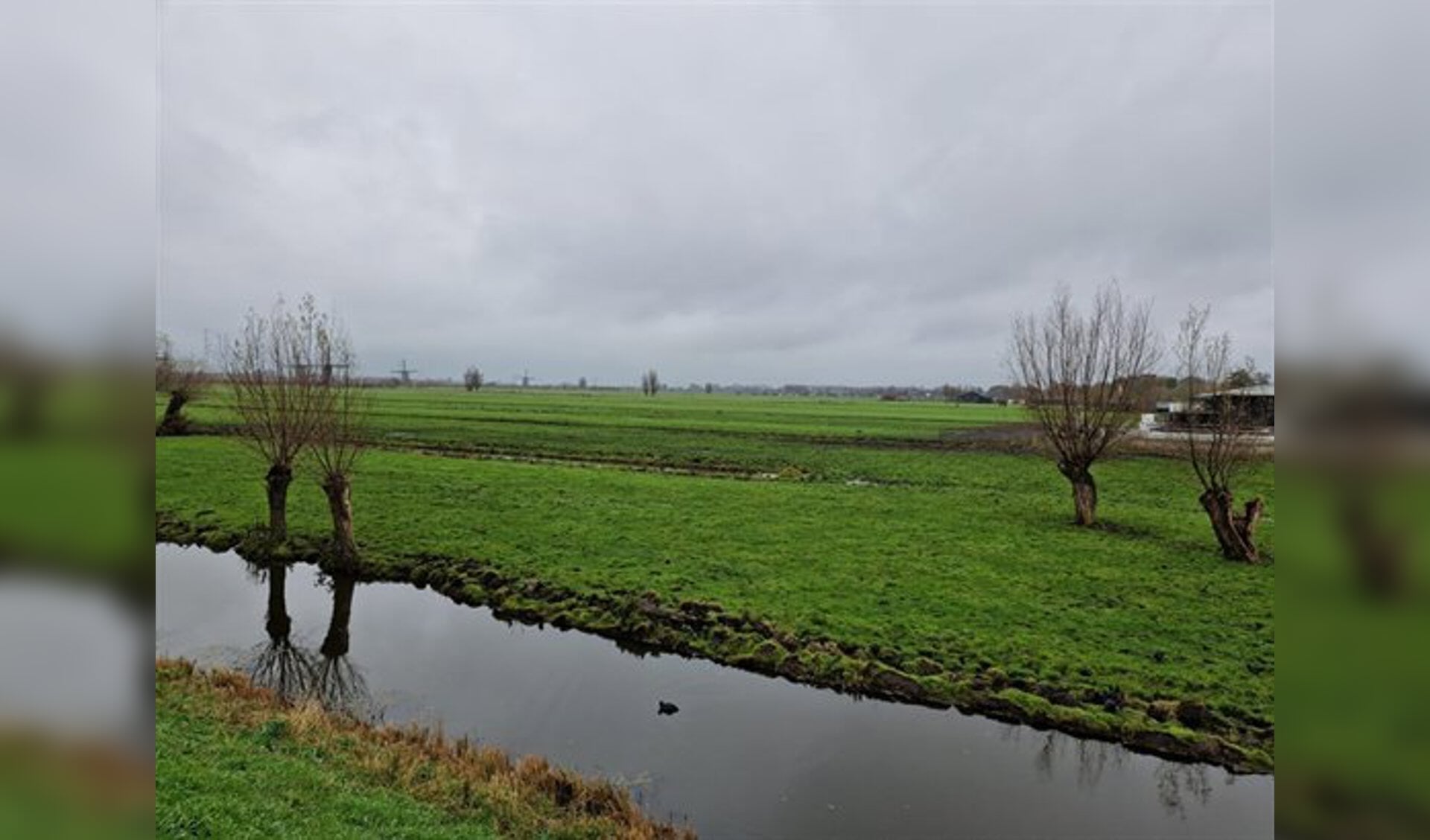Provincie koopt in Alblasserdam meer dan twaalf hectare natuur voor ...