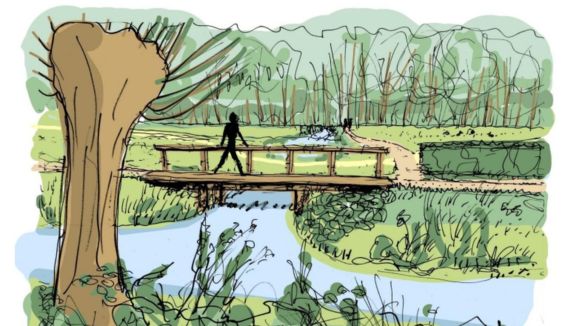 Plannen Natuurgebied Zuilen akkoord: toegankelijker en natuurinclusiever