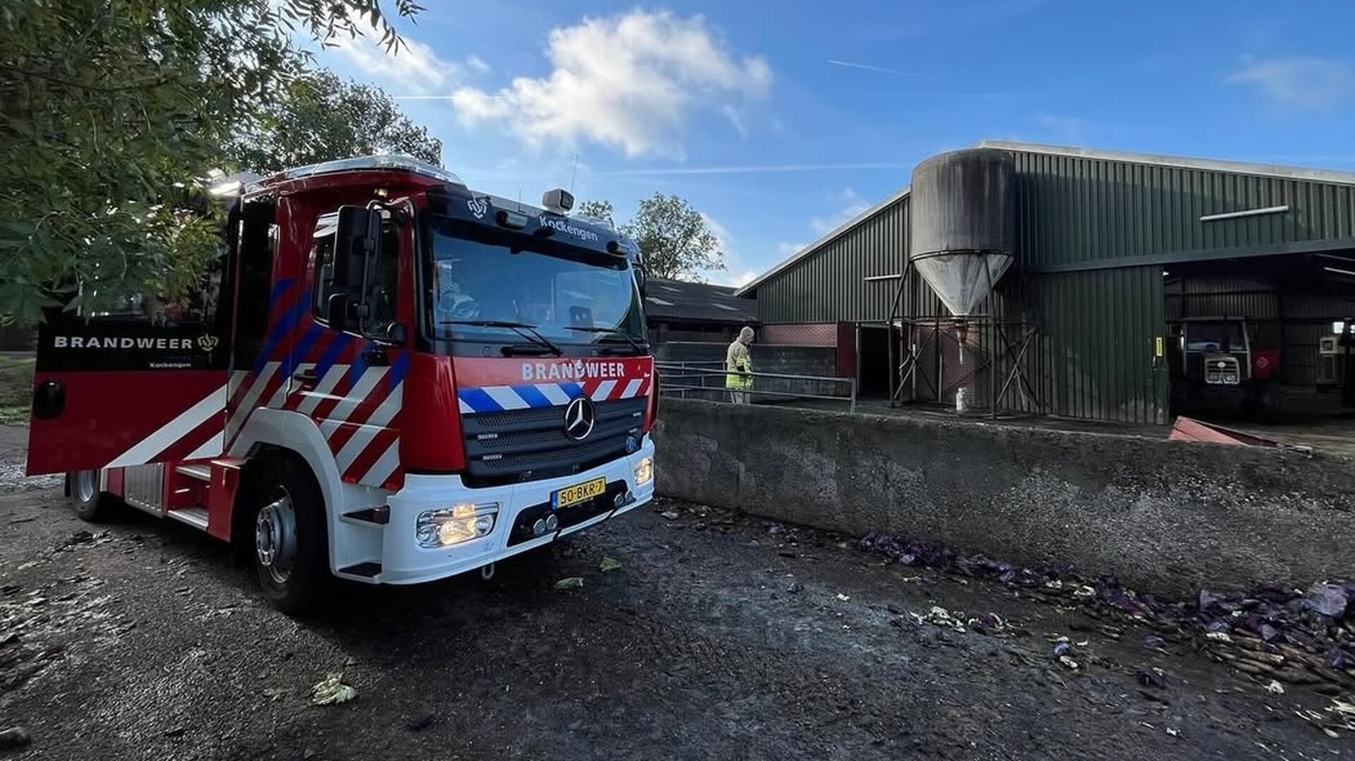 Brandweer Kockengen redt jonge stier uit gierput