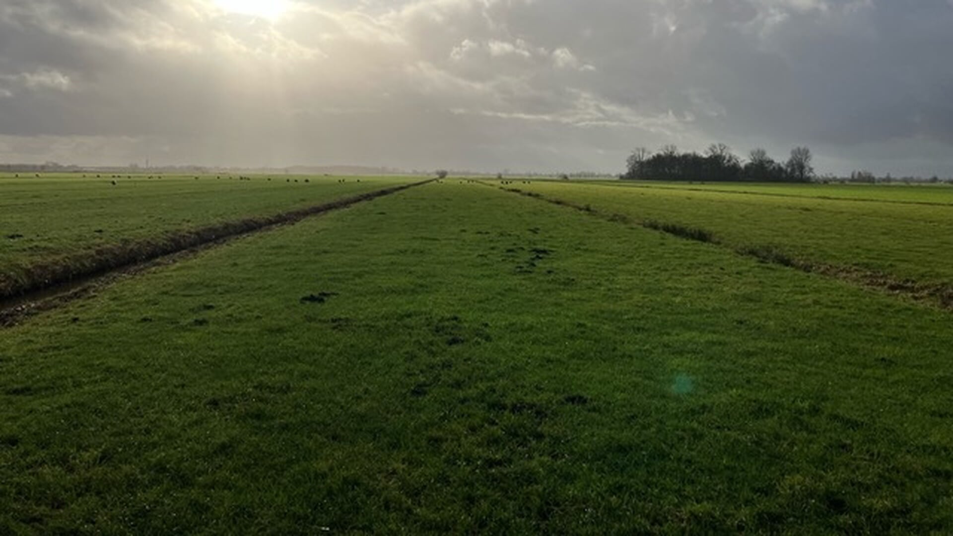 Provincie Utrecht stort vijf miljoen euro extra in fonds voor energiecoöperaties