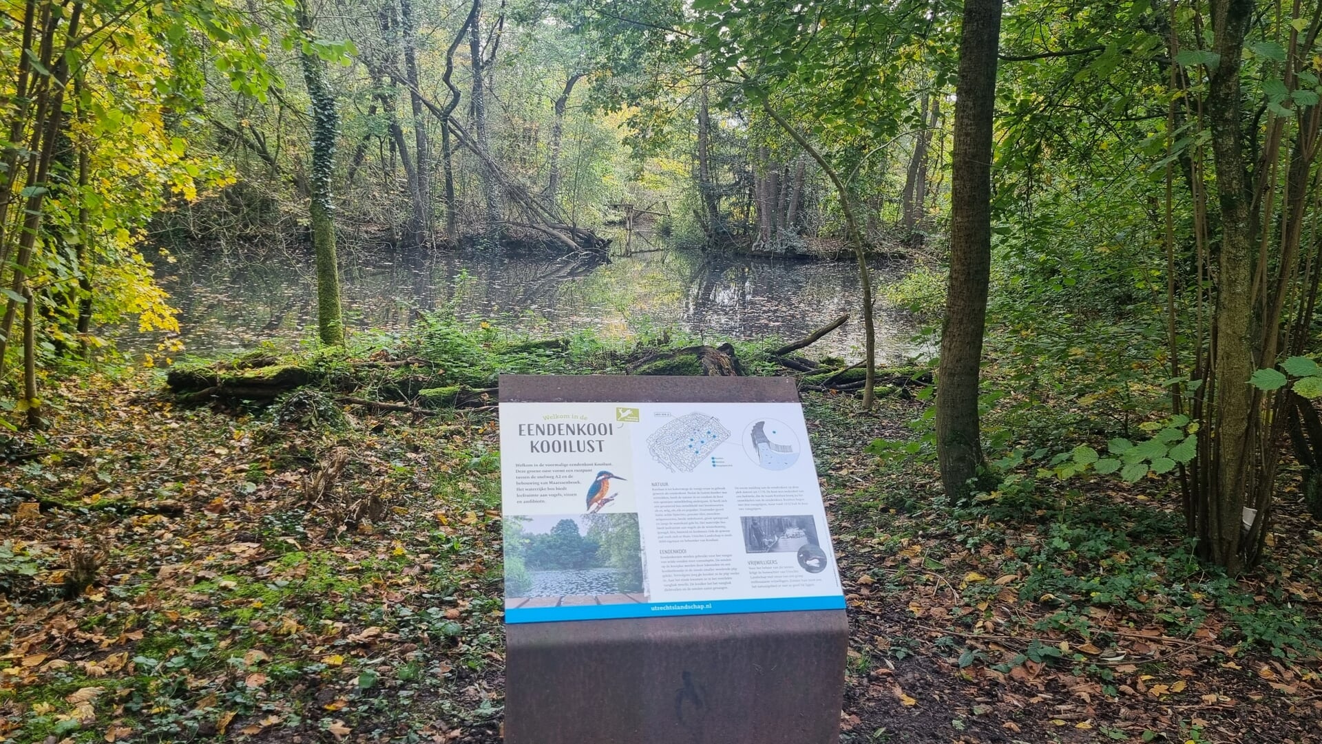 Bezoeker kan geschiedenis van Eendenkooi Maarssenbroek nu zelf ontdekken